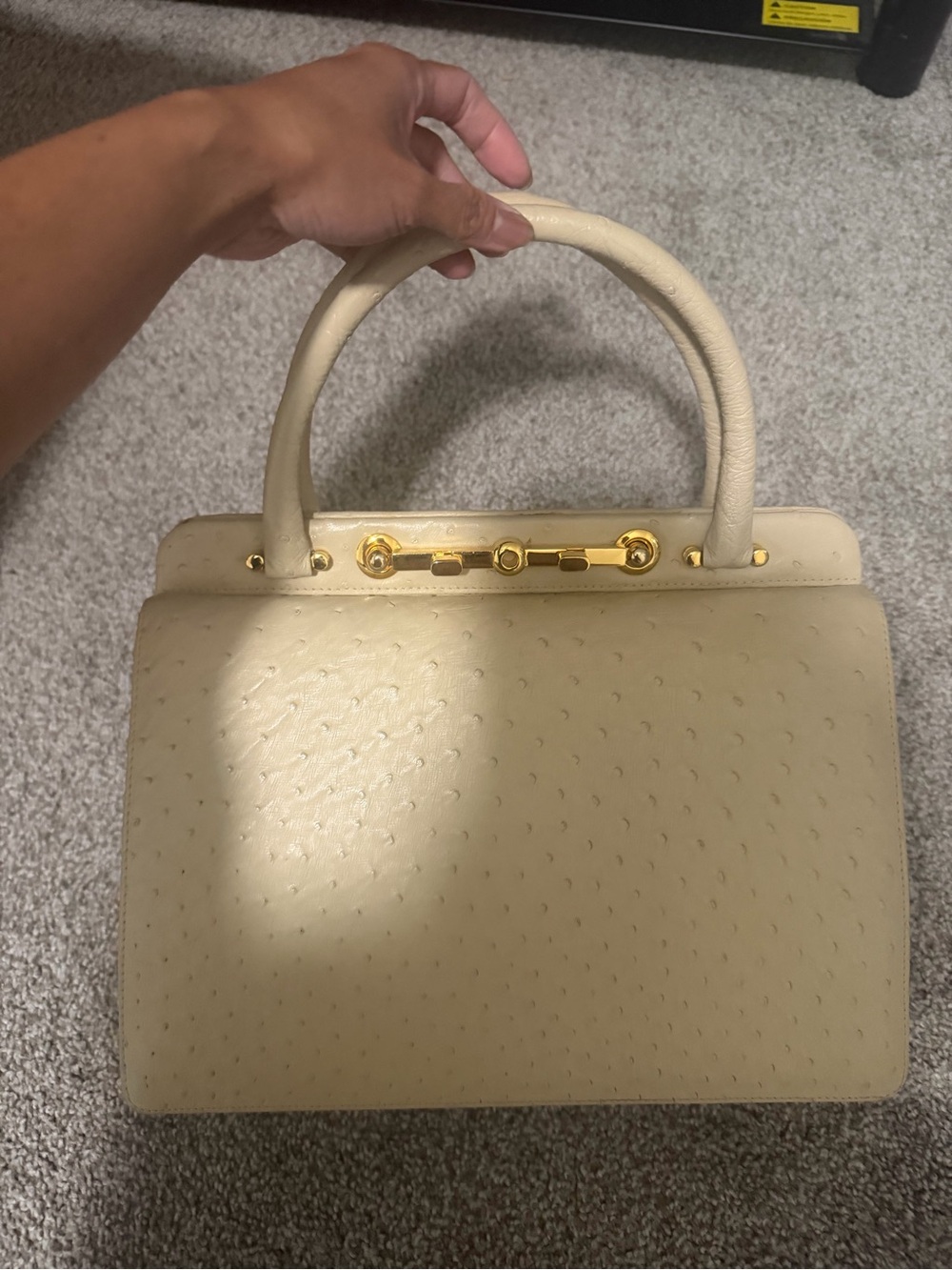 “Pre-loved Genuine” Jardin De Sac Genuine Ostrich Top-Handle Handbag
